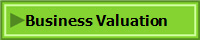 Business Valuation